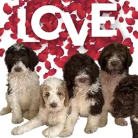 processed/9c4880d9-a4df-4f3f-8d98-1744200889ab/facility/15e73846-2162-4ab5-a8e8-cd90cecb339f