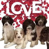 processed/9c4880d9-a4df-4f3f-8d98-1744200889ab/facility/15e73846-2162-4ab5-a8e8-cd90cecb339f