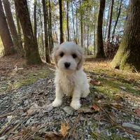 processed/9c4880d9-a4df-4f3f-8d98-1744200889ab/facility/624659c1-4ec3-4751-a24f-d412feec9b06