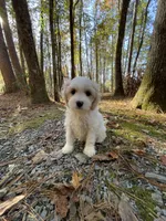 processed/9c4880d9-a4df-4f3f-8d98-1744200889ab/facility/624659c1-4ec3-4751-a24f-d412feec9b06