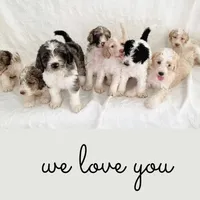 processed/9c4880d9-a4df-4f3f-8d98-1744200889ab/facility/703fd3d1-541e-4638-b7ee-36ccffc09fc6