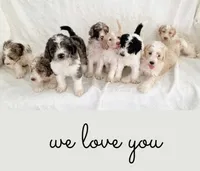 processed/9c4880d9-a4df-4f3f-8d98-1744200889ab/facility/703fd3d1-541e-4638-b7ee-36ccffc09fc6