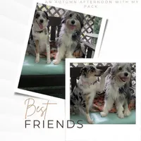 processed/9c4880d9-a4df-4f3f-8d98-1744200889ab/facility/967d9d0f-059a-4b1f-82fb-f1d36d8bc103