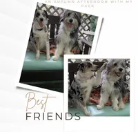 processed/9c4880d9-a4df-4f3f-8d98-1744200889ab/facility/967d9d0f-059a-4b1f-82fb-f1d36d8bc103