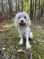 processed/9c4880d9-a4df-4f3f-8d98-1744200889ab/facility/bc05f2c9-3394-4bb5-b96c-10a20b6fcd91