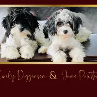 processed/9c4880d9-a4df-4f3f-8d98-1744200889ab/facility/c9b74bc5-4150-4c29-95a1-bfd7f804f548