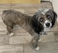 processed/9c4880d9-a4df-4f3f-8d98-1744200889ab/facility/e917a0cd-c3db-4997-bfcb-725fdd028e5b