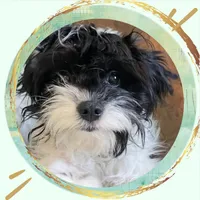 processed/9c4880d9-a4df-4f3f-8d98-1744200889ab/facility/f45a4453-3e68-4db6-91a6-67fef8d60a0f