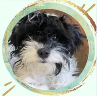 processed/9c4880d9-a4df-4f3f-8d98-1744200889ab/facility/f45a4453-3e68-4db6-91a6-67fef8d60a0f