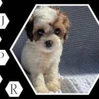 processed/9c4880d9-a4df-4f3f-8d98-1744200889ab/facility/f736dd63-ad0c-44af-b1c5-fe8adb7fd84a