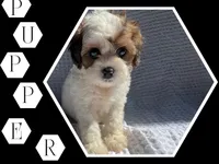 processed/9c4880d9-a4df-4f3f-8d98-1744200889ab/facility/f736dd63-ad0c-44af-b1c5-fe8adb7fd84a