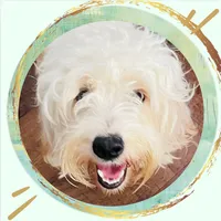 processed/9c4880d9-a4df-4f3f-8d98-1744200889ab/facility/fafc36f3-e00d-4388-9b53-8503c34507fd