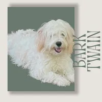 Bark Twain, a male Cavapoo for sale in Oak Island, NC – Photo 1 of 5
