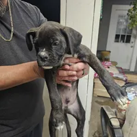 processed/9c4bec91-9745-4118-a589-7ac0478003ed/listing/b34cafe2-643c-435f-a666-c74af432571c/98828e44-ac0b-4eae-b7af-e25821685a63