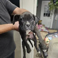 processed/9c4bec91-9745-4118-a589-7ac0478003ed/listing/b34cafe2-643c-435f-a666-c74af432571c/a822e202-62a5-4399-a7e4-31941433a615