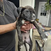 processed/9c4bec91-9745-4118-a589-7ac0478003ed/listing/b34cafe2-643c-435f-a666-c74af432571c/c19a6c9e-8520-40ba-a33c-8952747e0b75