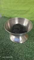 Black Diamond boy, a  Yorkshire Terrier for sale in Temple, TX – 1 of 2