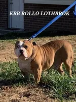 processed/9c517348-9f45-430b-bd95-bb8d8550fe6c/facility/b416c5f5-043e-4fd2-bfd9-4f77046ce66f