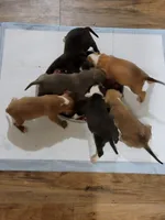 processed/9c517348-9f45-430b-bd95-bb8d8550fe6c/facility/ec6dcdc5-c091-4a15-bc4a-2c1933dc2c7a