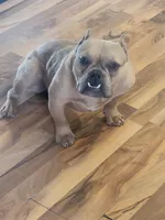 processed/9c517348-9f45-430b-bd95-bb8d8550fe6c/facility/f7919c56-b2d6-4929-b2f9-bf3764911e1a