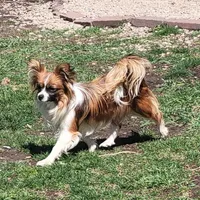 processed/9c5ffe86-dc41-4003-9152-a63f370752a3/facility/28ebe448-3094-41e2-9c58-fe5980755fd8