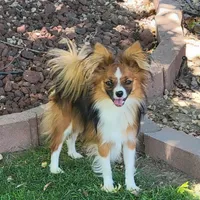 processed/9c5ffe86-dc41-4003-9152-a63f370752a3/facility/40276e78-0f3e-43f9-a338-cce897ee3228