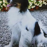 processed/9c5ffe86-dc41-4003-9152-a63f370752a3/facility/95c99c24-3596-4f2c-a25d-3e4c4d5e3a05