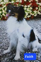 processed/9c5ffe86-dc41-4003-9152-a63f370752a3/facility/95c99c24-3596-4f2c-a25d-3e4c4d5e3a05