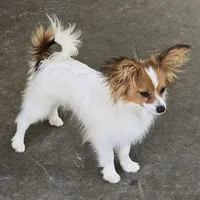 processed/9c5ffe86-dc41-4003-9152-a63f370752a3/facility/cde38af4-57a0-49e0-8271-2863798ad276