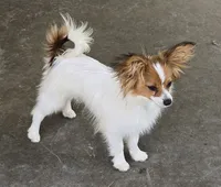 processed/9c5ffe86-dc41-4003-9152-a63f370752a3/facility/cde38af4-57a0-49e0-8271-2863798ad276