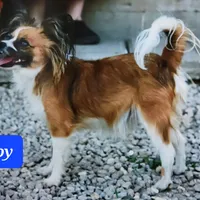 processed/9c5ffe86-dc41-4003-9152-a63f370752a3/facility/dbe6bfaa-055e-4bf2-946b-58183c60a4a8