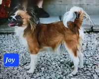 processed/9c5ffe86-dc41-4003-9152-a63f370752a3/facility/dbe6bfaa-055e-4bf2-946b-58183c60a4a8