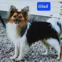 processed/9c5ffe86-dc41-4003-9152-a63f370752a3/facility/e5224c02-dc61-4a23-a3b5-1ac83bd693dd