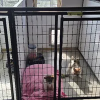 processed/9c5ffe86-dc41-4003-9152-a63f370752a3/facility/fc238b58-0f61-4172-9e32-a19b4366f26a