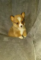 processed/9c657c34-a191-4245-b511-cfd63ec3c731/listing/8d63bb27-2b3d-402c-9765-d1659f49ded5/4600e540-6b0e-416f-b844-e72cb52b6e7e