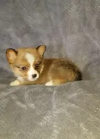 processed/9c657c34-a191-4245-b511-cfd63ec3c731/listing/8d63bb27-2b3d-402c-9765-d1659f49ded5/58b4f983-193d-4dad-8313-2190eafcb95d