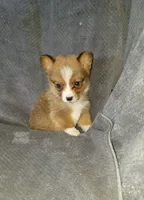 processed/9c657c34-a191-4245-b511-cfd63ec3c731/listing/8d63bb27-2b3d-402c-9765-d1659f49ded5/63acaf7b-7398-44fb-8de6-d91ed5956545