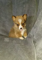 processed/9c657c34-a191-4245-b511-cfd63ec3c731/listing/8d63bb27-2b3d-402c-9765-d1659f49ded5/dbc097c0-265d-4ba5-be93-df3fb22b1809