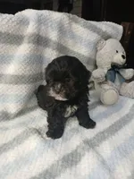 processed/9c7981c4-f0b6-4807-a356-af85d863d403/listing/4f871c84-f5fd-414f-b409-4fba591cc413/7e050063-07b8-4d21-8e8e-4e47e3ea8692