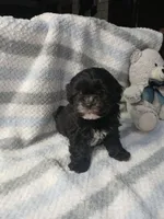 processed/9c7981c4-f0b6-4807-a356-af85d863d403/listing/4f871c84-f5fd-414f-b409-4fba591cc413/ea98d7df-51b6-4569-8914-34e68f5aec3c