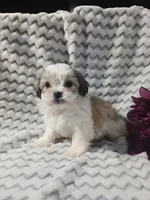 processed/9c7981c4-f0b6-4807-a356-af85d863d403/listing/dedb3ecc-b62c-4299-9287-3dc252a98880/8ca836cb-1c98-4c0f-a771-8398d939fc83