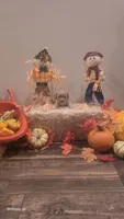 Cavapoo 2, a female Cavapoo for sale in Saint Helena Island, SC – 3 of 5