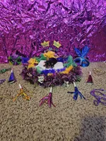 Girl 1, a female Yorkshire Terrier for sale in Lexington, SC – Photo 4 of 7