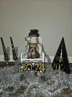 Tiny sable girl 5, a female Yorkshire Terrier for sale in Lexington, SC – Photo 6 of 10