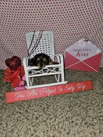 Girl 3, a female Yorkshire Terrier for sale in Lexington, SC – Photo 1 of 7