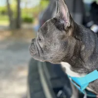 processed/9c8152de-f0c4-44b9-89f5-e1699b89cb83/facility/bdda60d9-0124-471e-b703-c08c6e247b8b