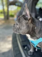 processed/9c8152de-f0c4-44b9-89f5-e1699b89cb83/facility/bdda60d9-0124-471e-b703-c08c6e247b8b