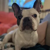 processed/9c8152de-f0c4-44b9-89f5-e1699b89cb83/facility/e0757603-e04b-4c95-a70a-461efa45c4d1