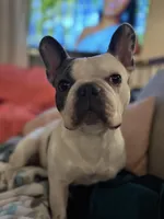 processed/9c8152de-f0c4-44b9-89f5-e1699b89cb83/facility/e0757603-e04b-4c95-a70a-461efa45c4d1