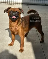 processed/9c8512a4-2241-4fb1-a275-5c3290cd7dcb/facility/033b011b-eab5-48e3-81f2-d97c92419638